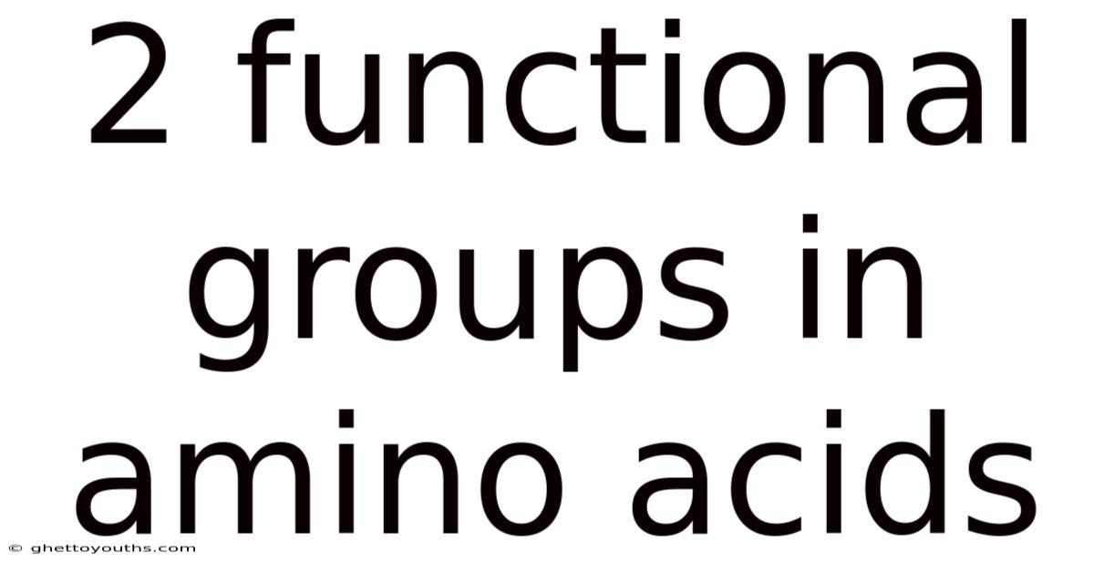 2 Functional Groups In Amino Acids