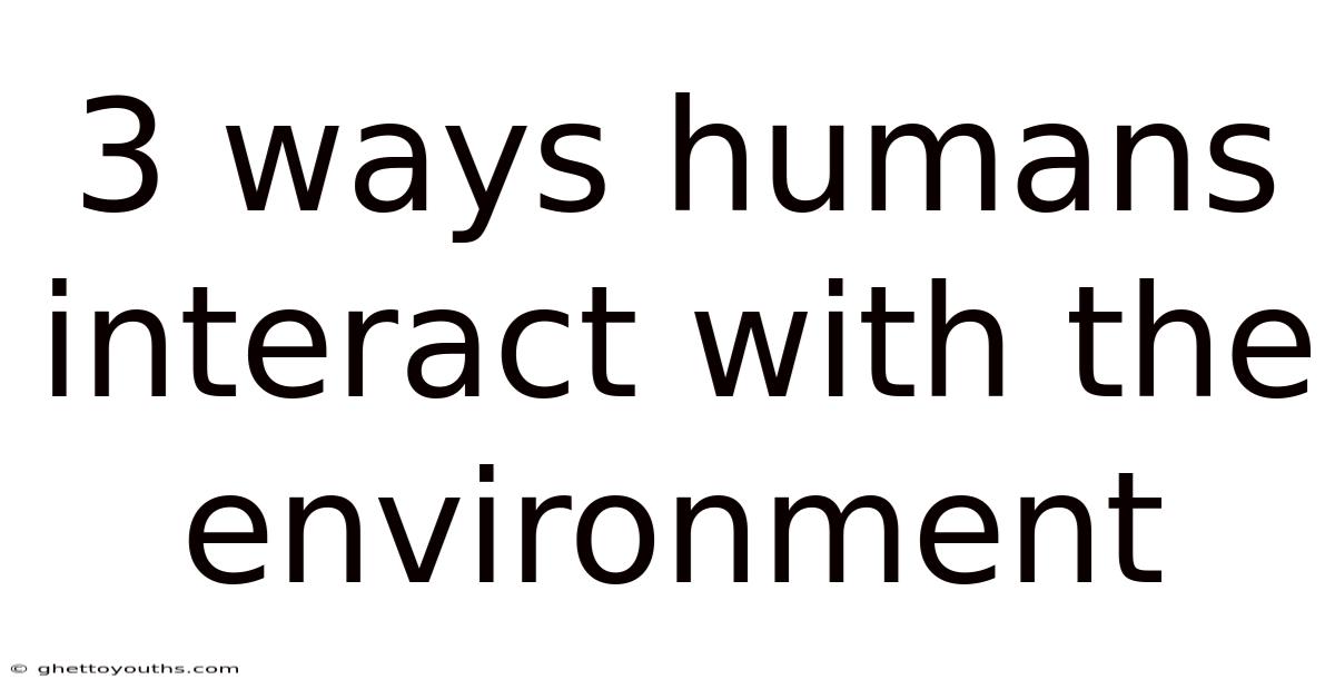 3 Ways Humans Interact With The Environment
