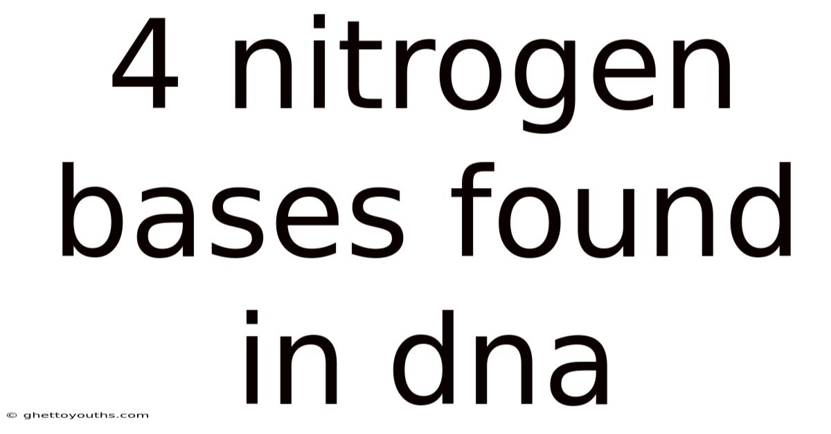 4 Nitrogen Bases Found In Dna