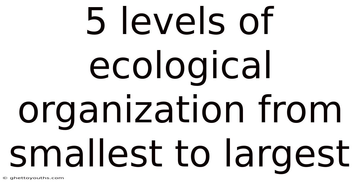 5 Levels Of Ecological Organization From Smallest To Largest