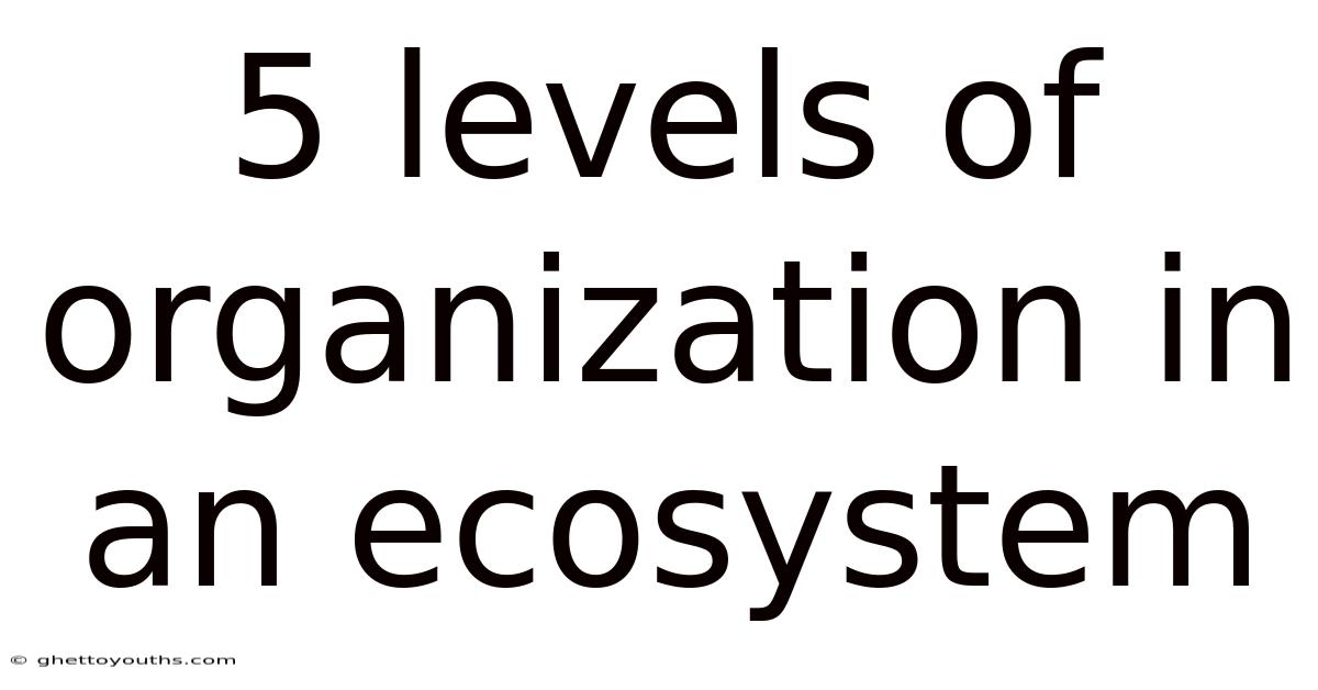 5 Levels Of Organization In An Ecosystem