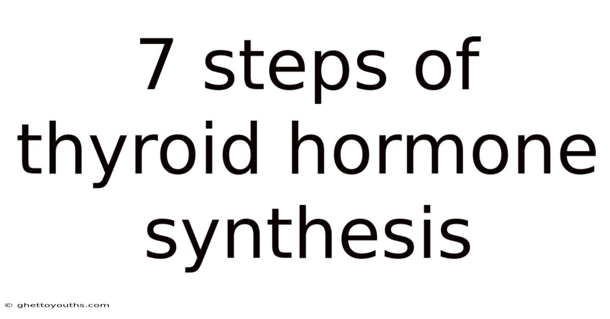 7 Steps Of Thyroid Hormone Synthesis