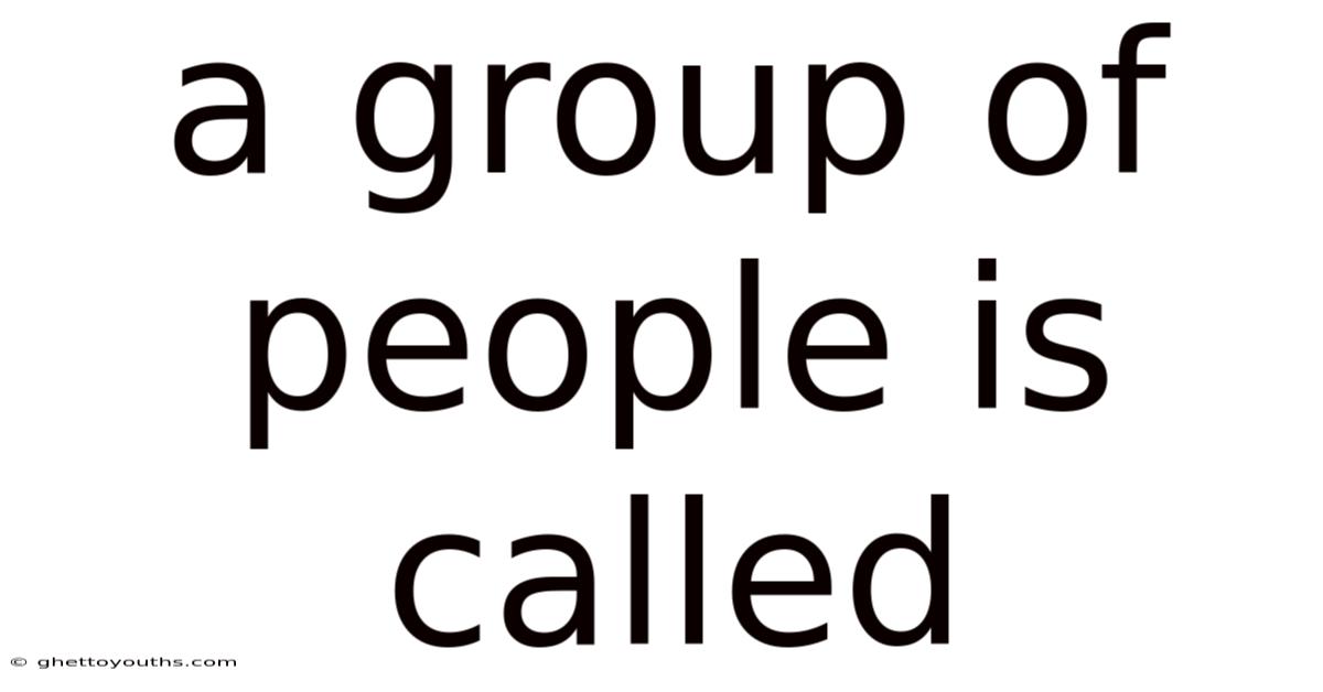 A Group Of People Is Called