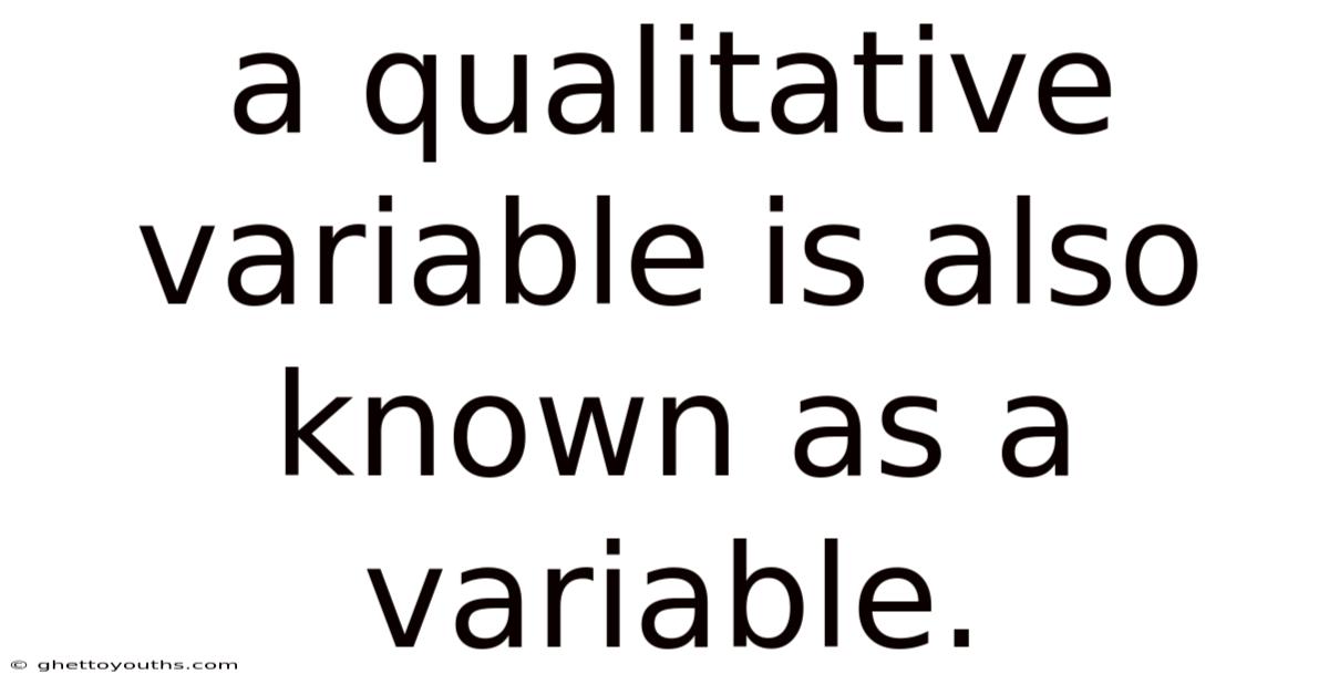A Qualitative Variable Is Also Known As A Variable.