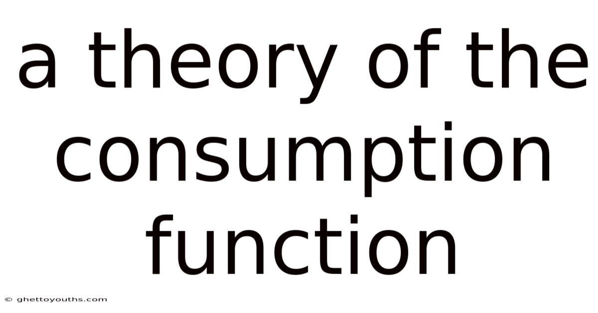A Theory Of The Consumption Function