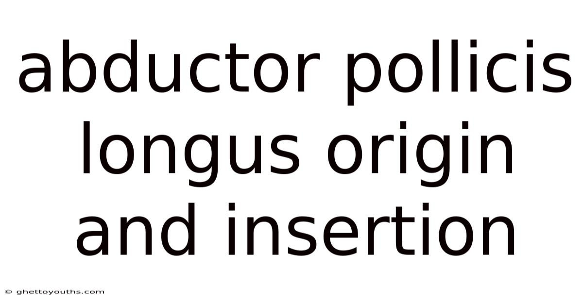 Abductor Pollicis Longus Origin And Insertion