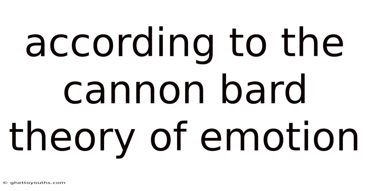 According To The Cannon Bard Theory Of Emotion