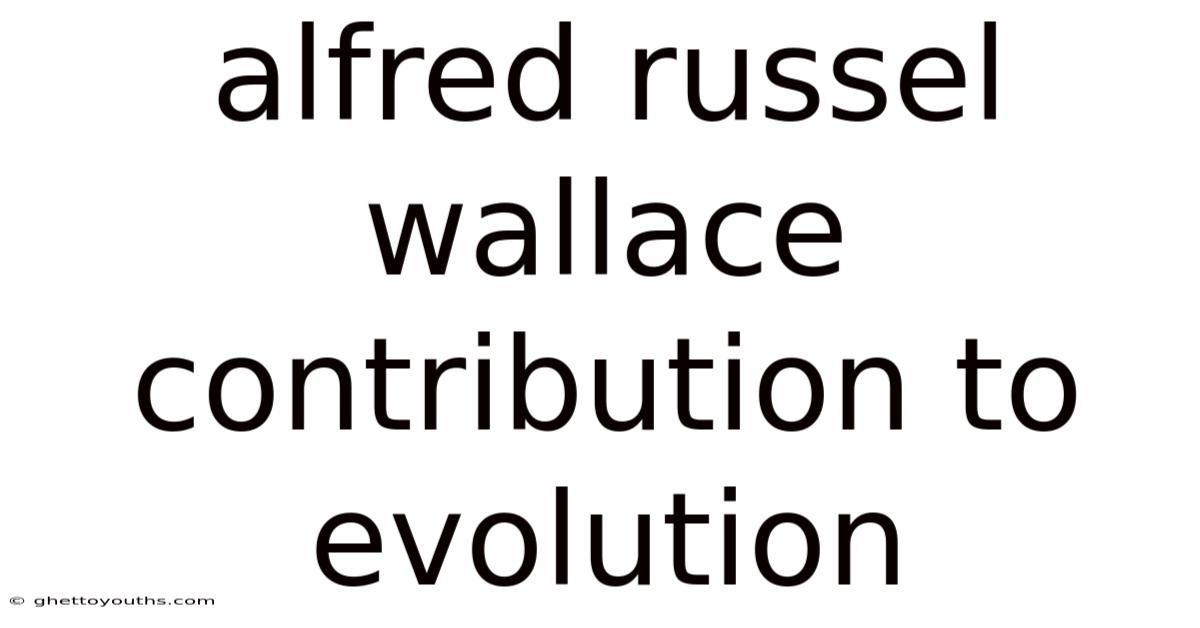 Alfred Russel Wallace Contribution To Evolution