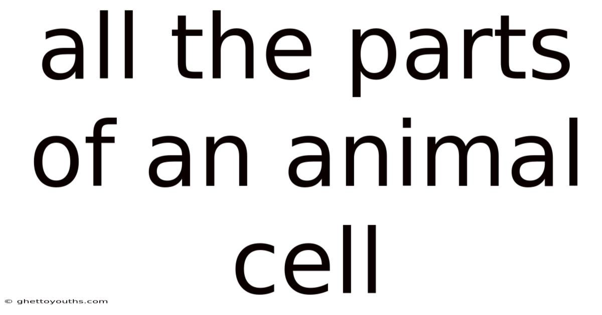 All The Parts Of An Animal Cell