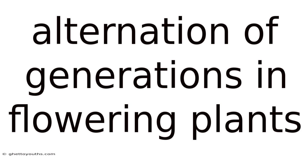 Alternation Of Generations In Flowering Plants