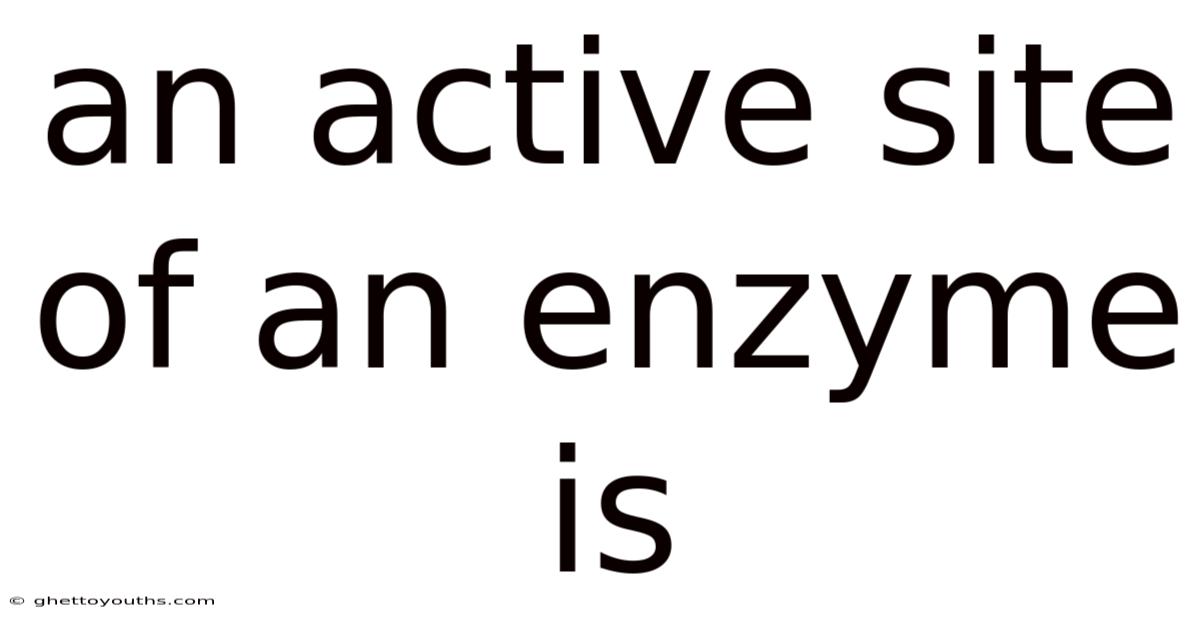 An Active Site Of An Enzyme Is