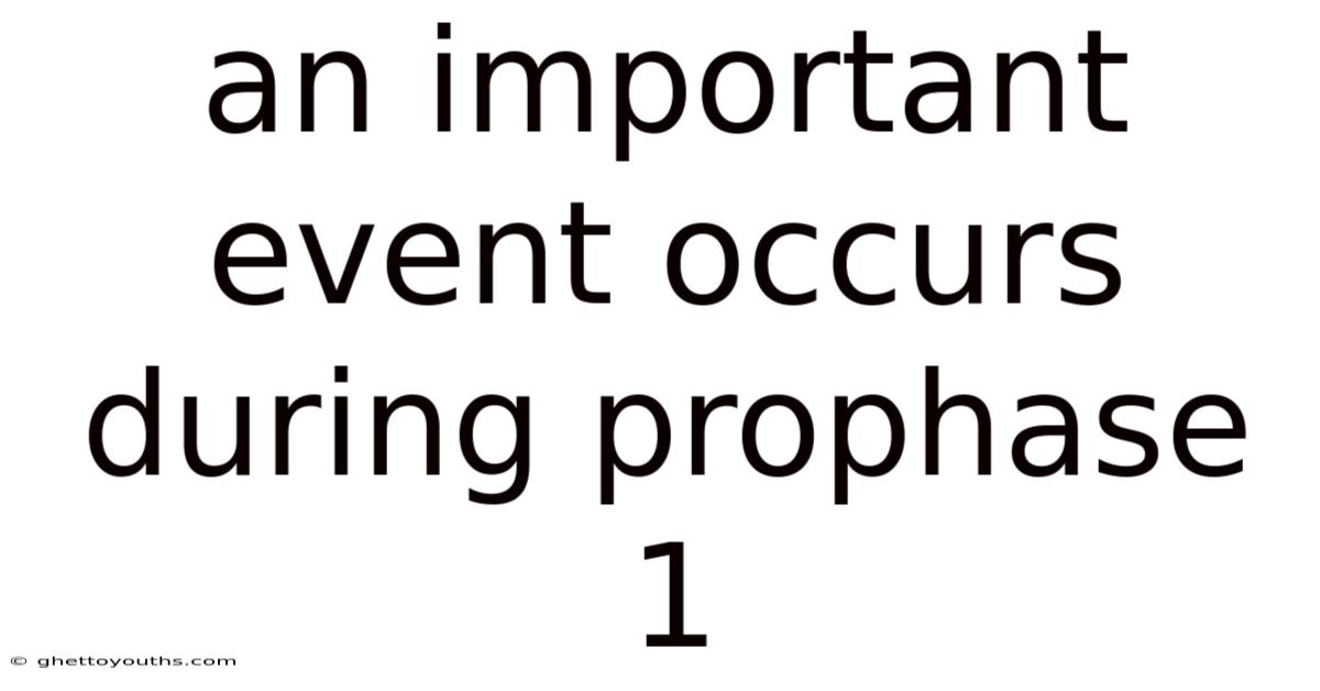 An Important Event Occurs During Prophase 1