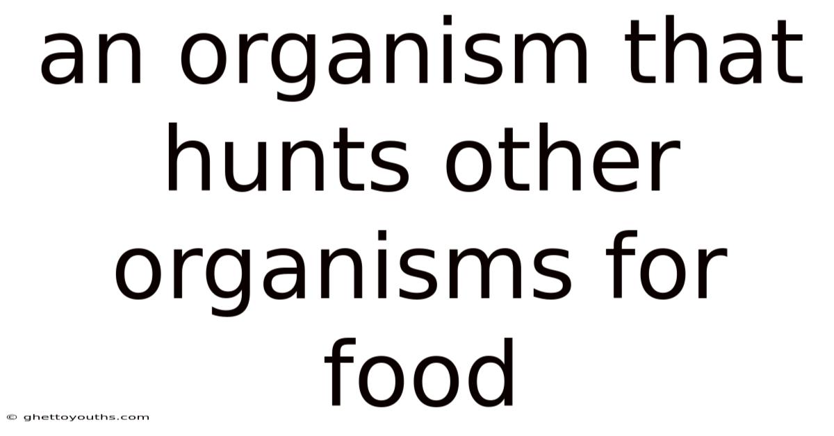 An Organism That Hunts Other Organisms For Food