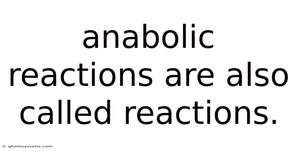 Anabolic Reactions Are Also Called Reactions.