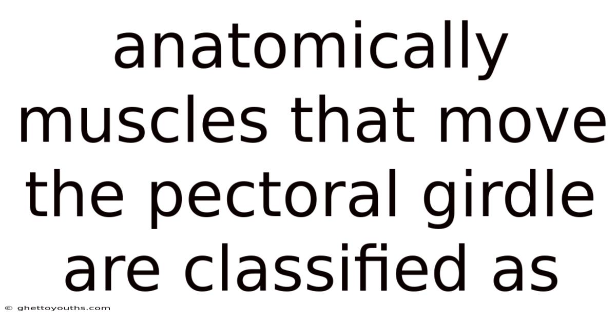 Anatomically Muscles That Move The Pectoral Girdle Are Classified As