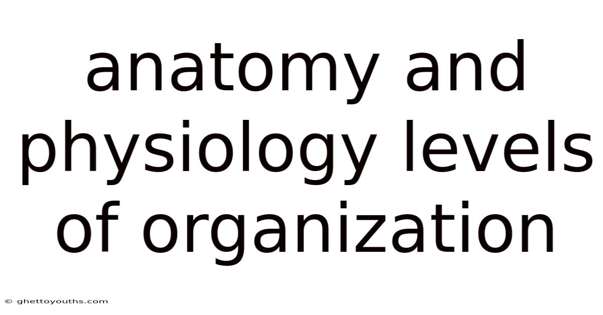 Anatomy And Physiology Levels Of Organization