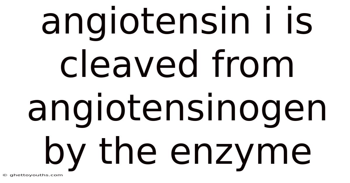 Angiotensin I Is Cleaved From Angiotensinogen By The Enzyme