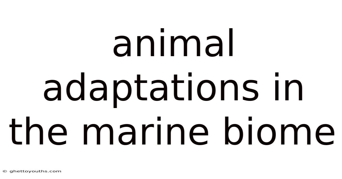 Animal Adaptations In The Marine Biome
