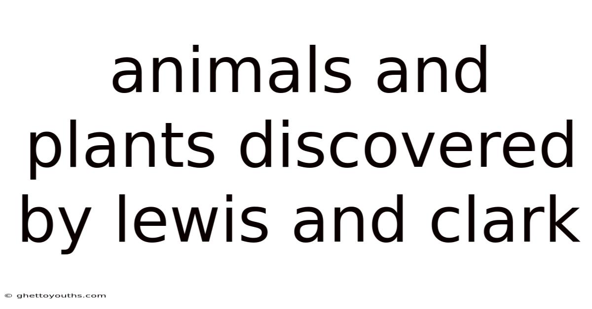 Animals And Plants Discovered By Lewis And Clark