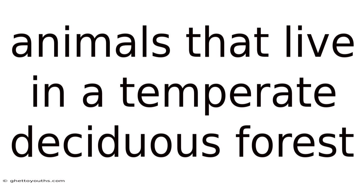 Animals That Live In A Temperate Deciduous Forest