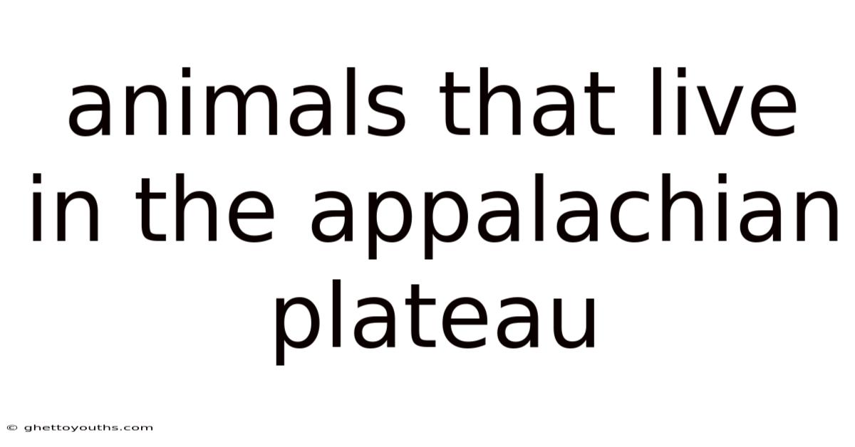 Animals That Live In The Appalachian Plateau