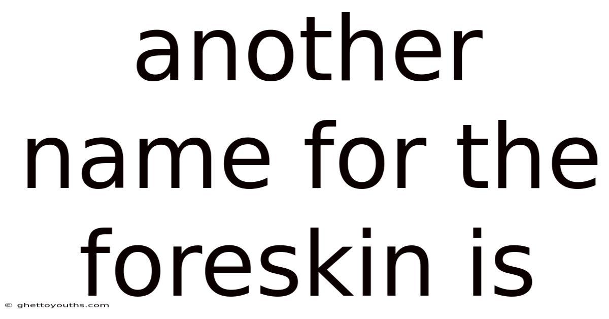 Another Name For The Foreskin Is