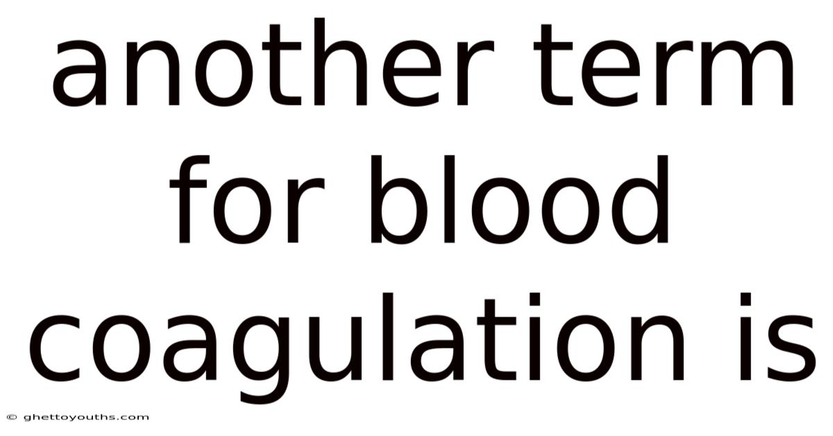 Another Term For Blood Coagulation Is