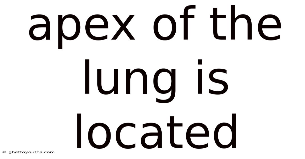 Apex Of The Lung Is Located