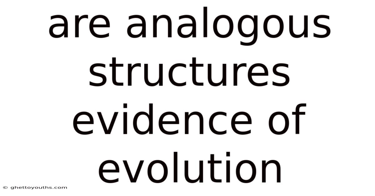 Are Analogous Structures Evidence Of Evolution