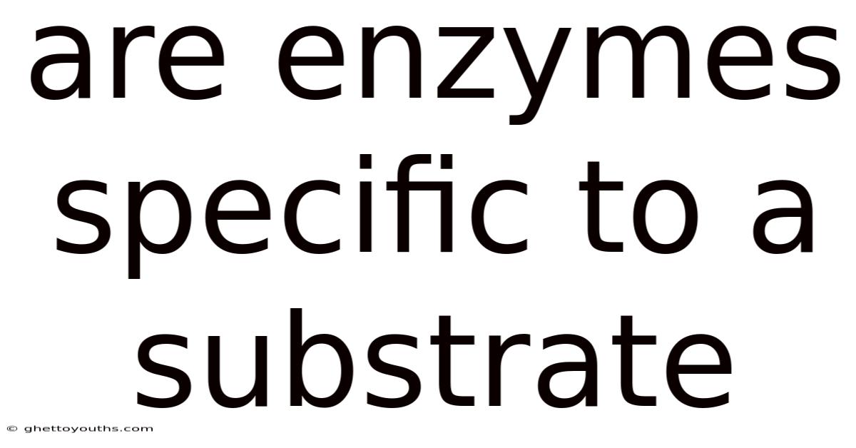 Are Enzymes Specific To A Substrate