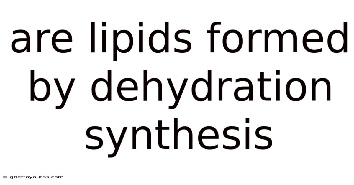 Are Lipids Formed By Dehydration Synthesis
