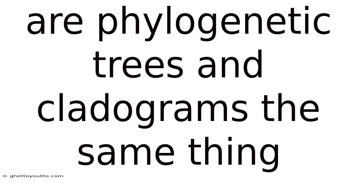 Are Phylogenetic Trees And Cladograms The Same Thing