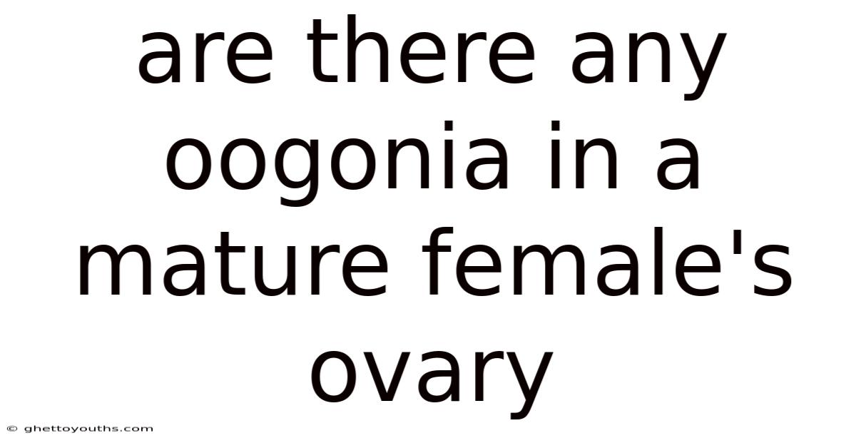 Are There Any Oogonia In A Mature Female's Ovary