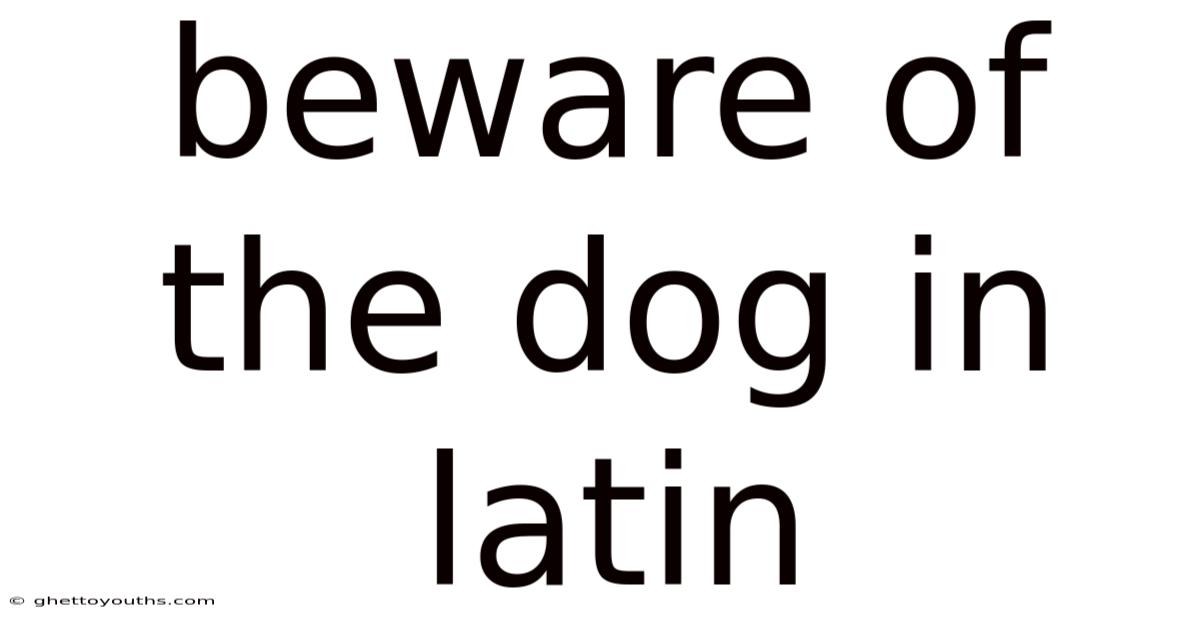 Beware Of The Dog In Latin
