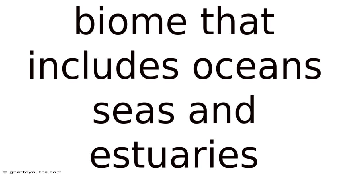 Biome That Includes Oceans Seas And Estuaries