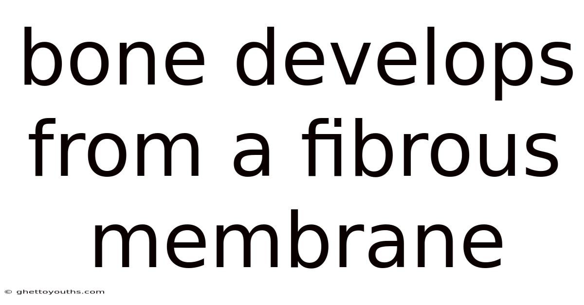 Bone Develops From A Fibrous Membrane