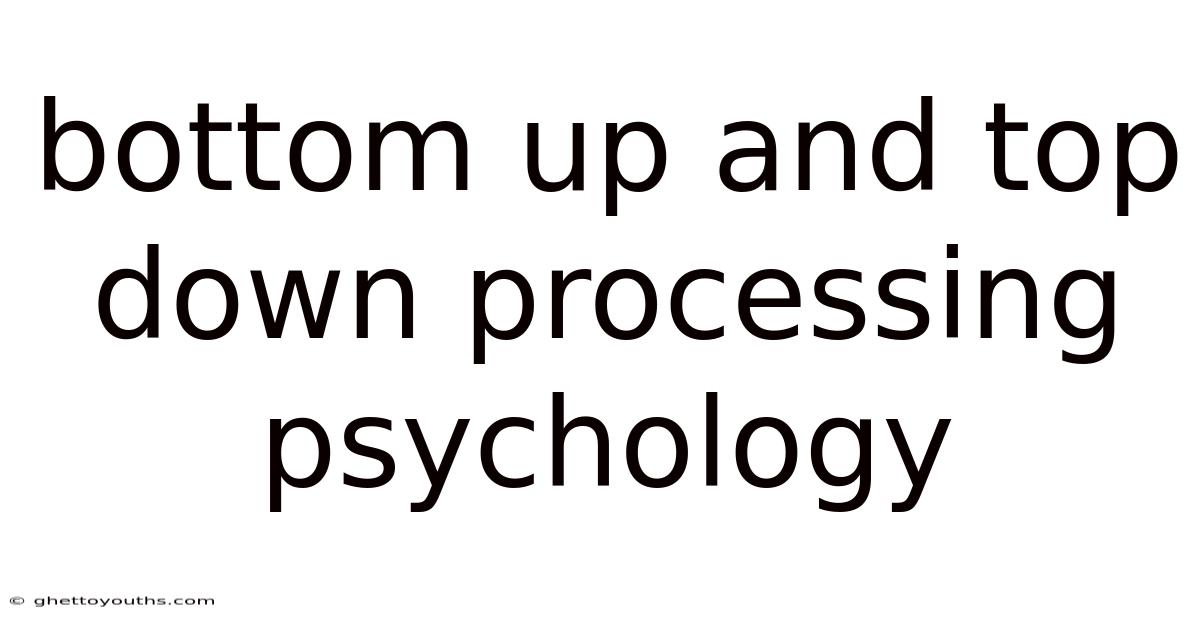 Bottom Up And Top Down Processing Psychology
