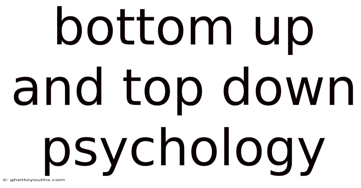 Bottom Up And Top Down Psychology