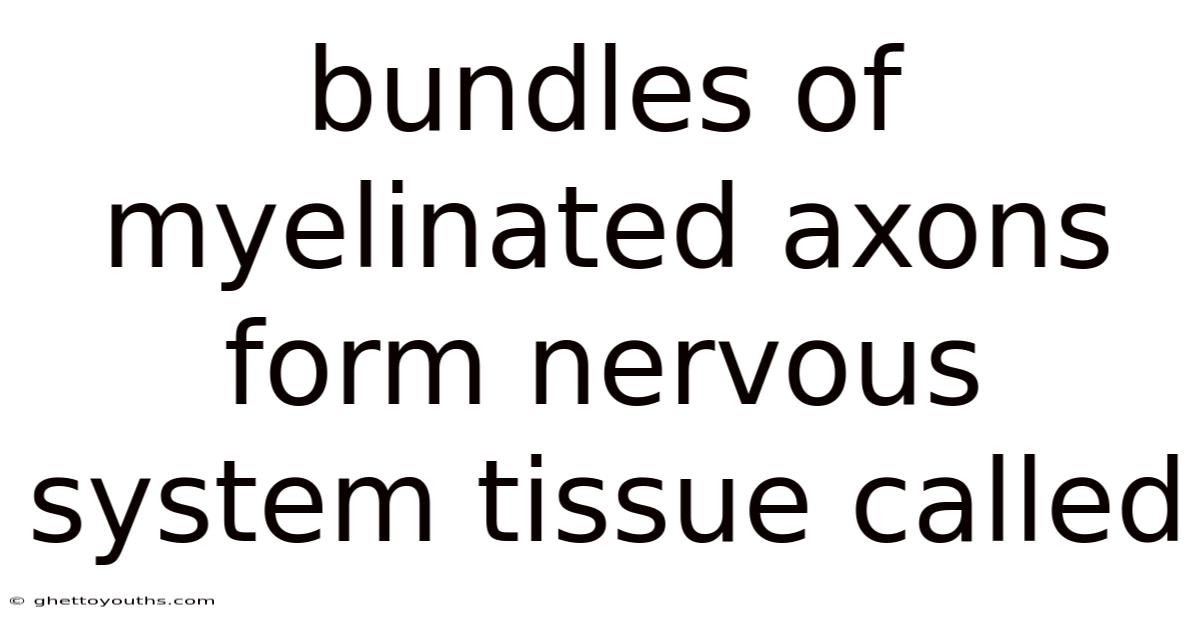 Bundles Of Myelinated Axons Form Nervous System Tissue Called