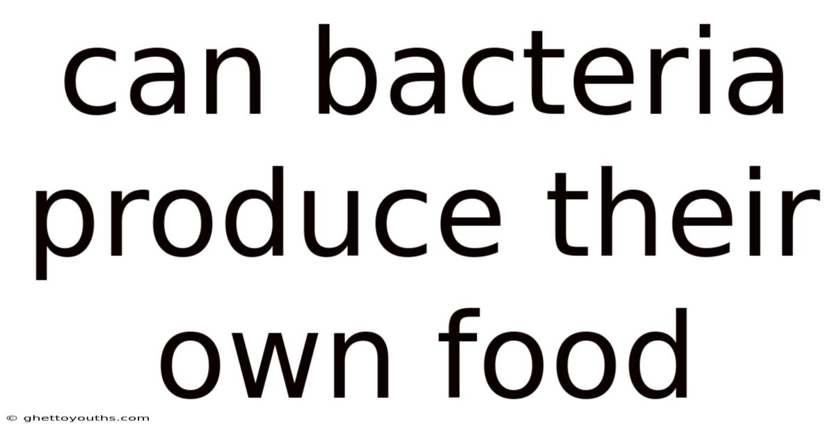 Can Bacteria Produce Their Own Food