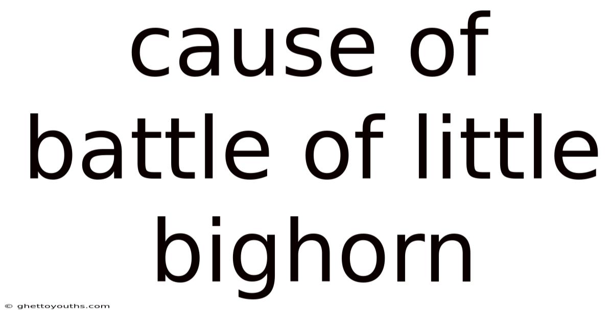 Cause Of Battle Of Little Bighorn