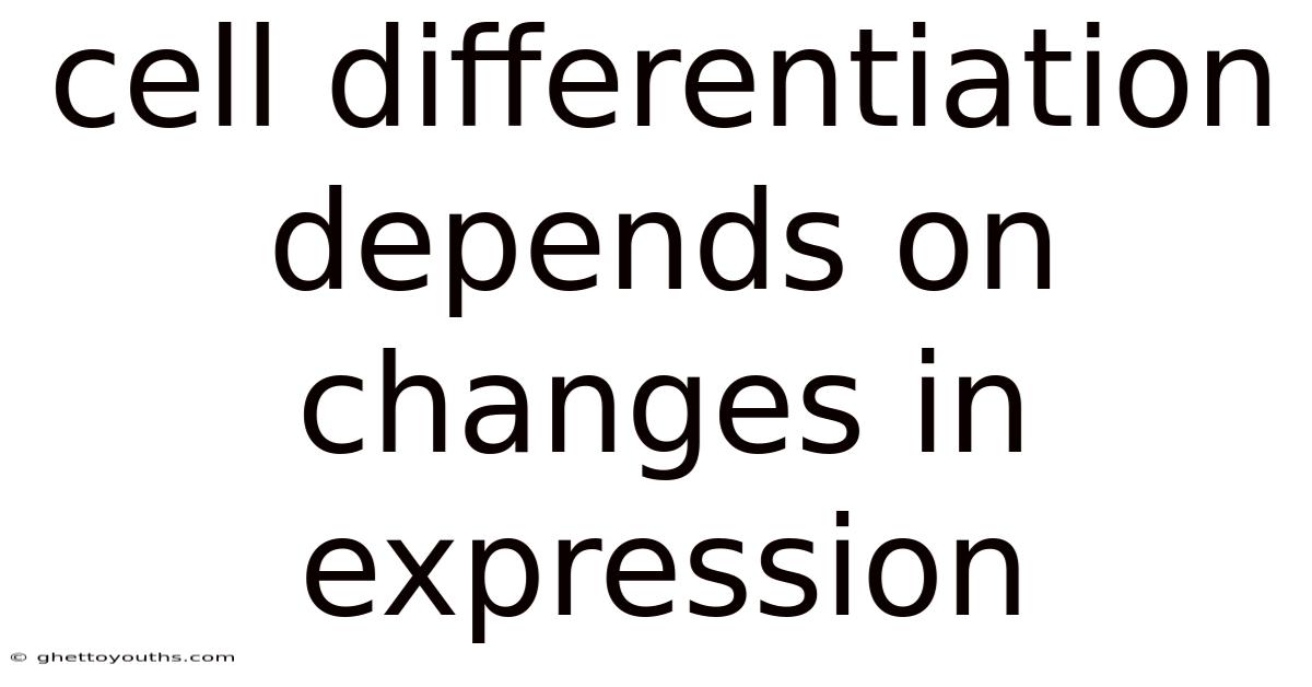 Cell Differentiation Depends On Changes In Expression