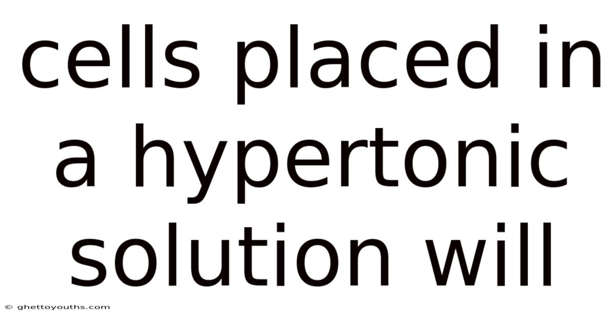 Cells Placed In A Hypertonic Solution Will
