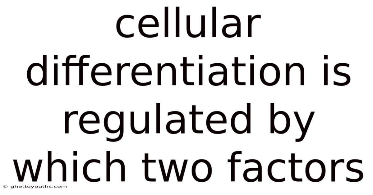 Cellular Differentiation Is Regulated By Which Two Factors