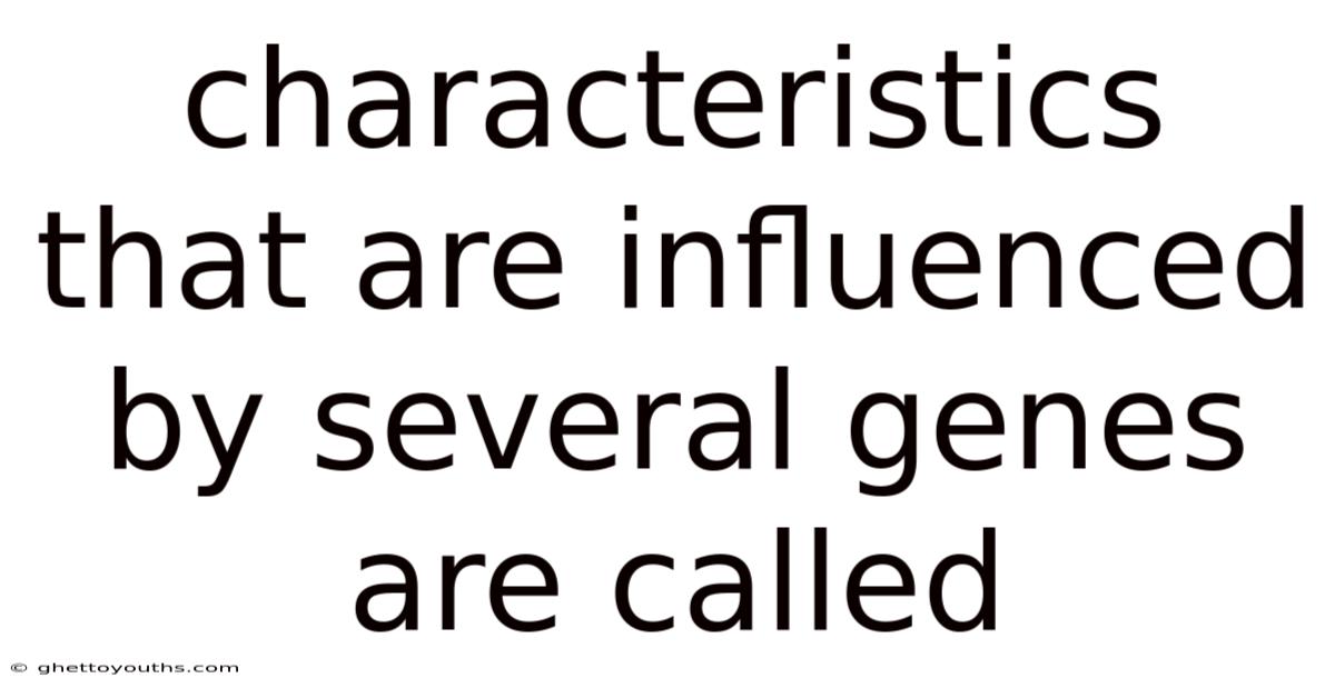 Characteristics That Are Influenced By Several Genes Are Called