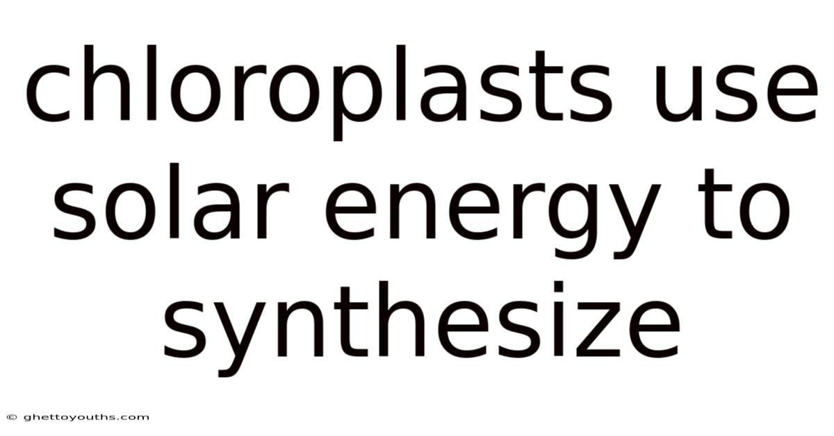 Chloroplasts Use Solar Energy To Synthesize