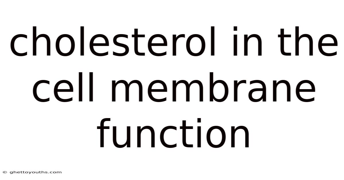 Cholesterol In The Cell Membrane Function
