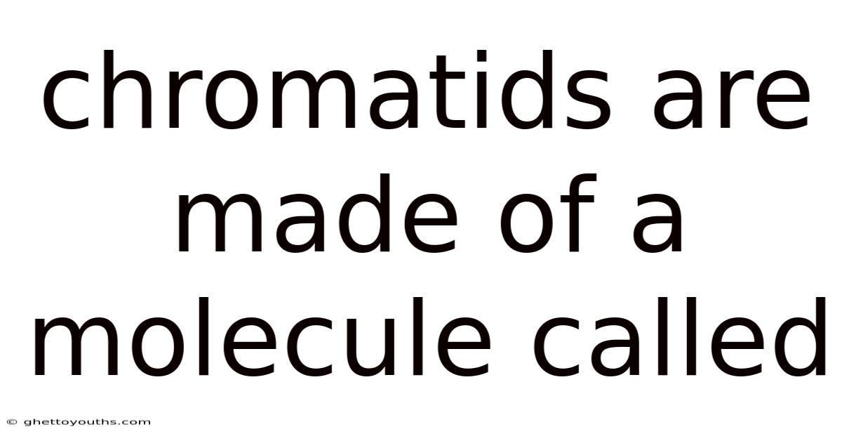 Chromatids Are Made Of A Molecule Called