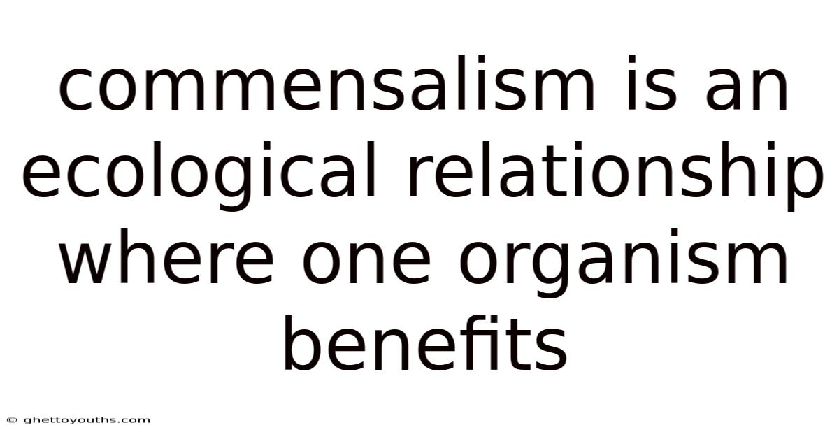 Commensalism Is An Ecological Relationship Where One Organism Benefits