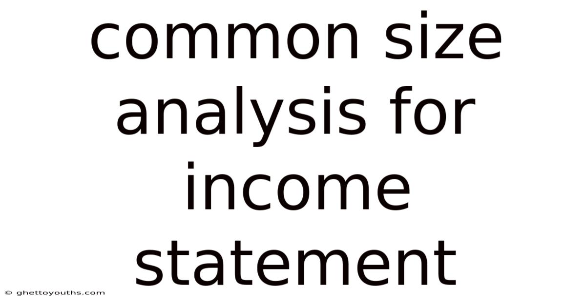 Common Size Analysis For Income Statement